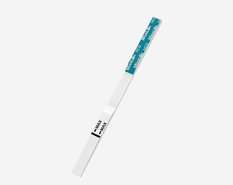 Pregnancy Rapid Test