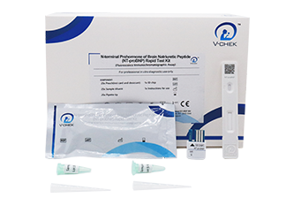 N-terminal Prohormone of Brain Natriuretic Peptide (NT-proBNP) Rapid Test Kit